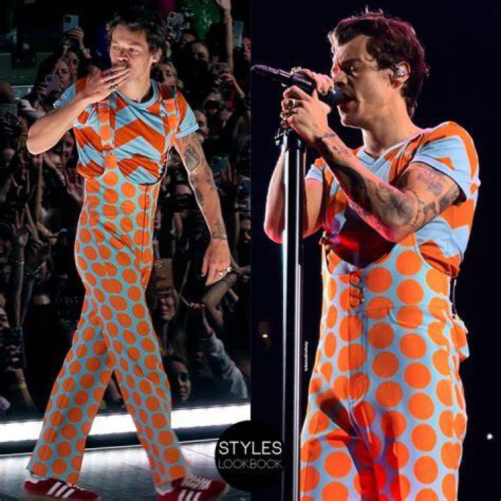 Harry Styles Wears His Heart On His Sleeve