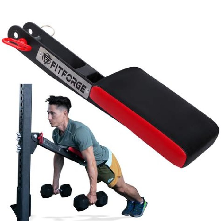 Highest-Rated Power Rack of 2023 – Hollywood Life Reviews – Hollywood Life
