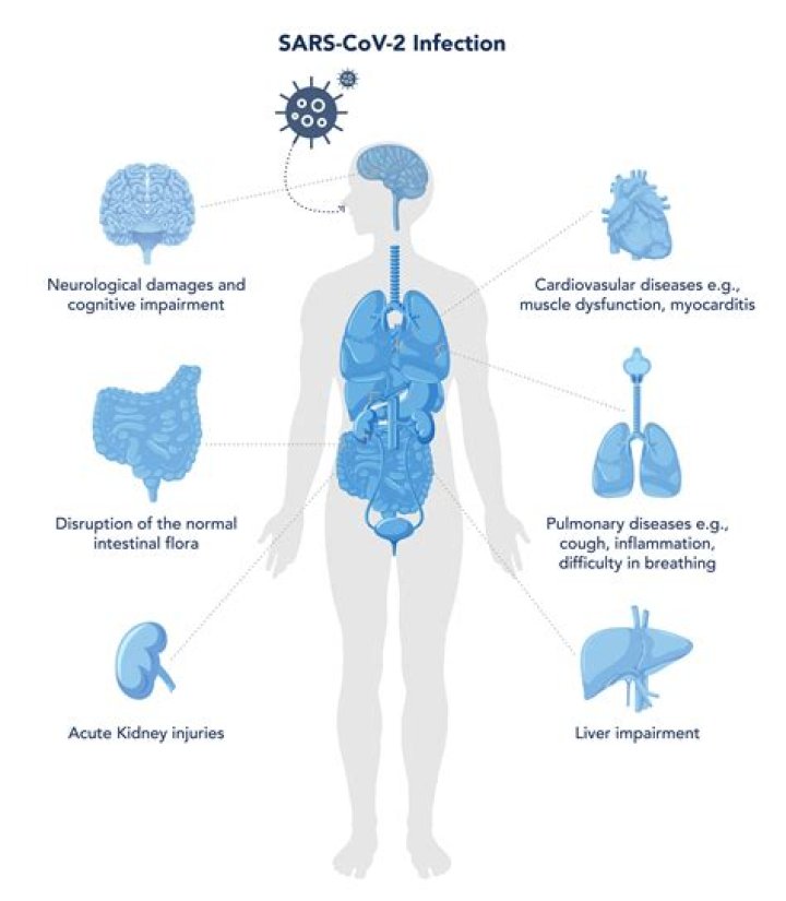 HL Readers: Please Tell Us How The Coronavirus Pandemic Has Affected Your Life – Take Our Survey