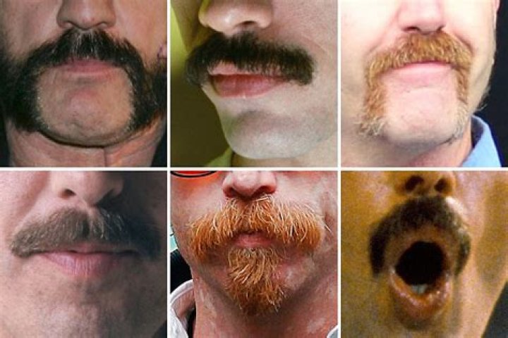 Hollywood’s Best Mustaches: Photos – Hollywood Life