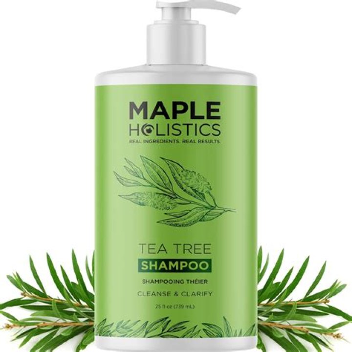 Hottest Tea Tree Oil and Mint Shampoo in 2023 – Hollywood Life Reviews – Hollywood Life