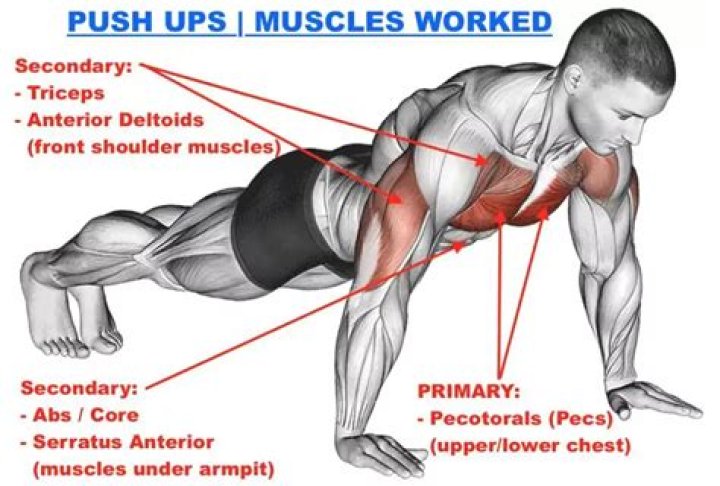 How Push-Ups Are The Ultimate Tone Up For Your Arms & Abs: Tips From Ex-Ballerina