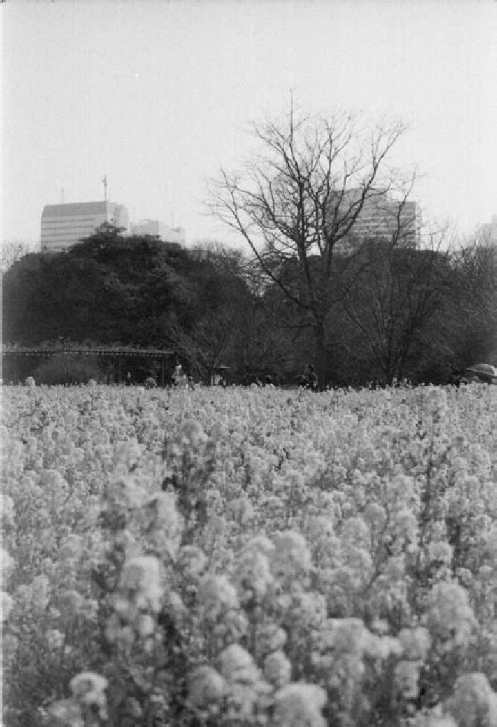 image002-7