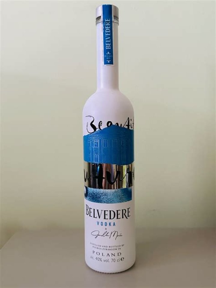 Janelle Mon&aacute;e & Belvedere Vodka Team A Beautiful Future
