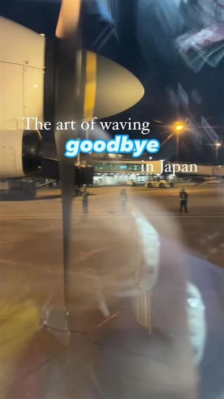 Japan Says Good-Bye to 2020