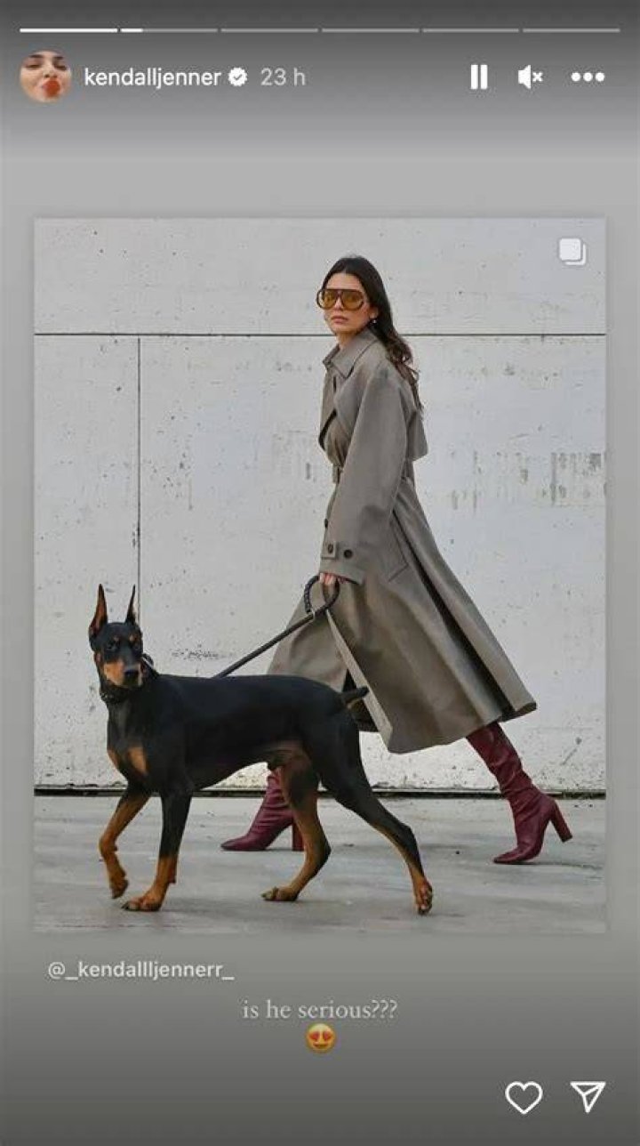 Kendall Jenner Walking Her Dog