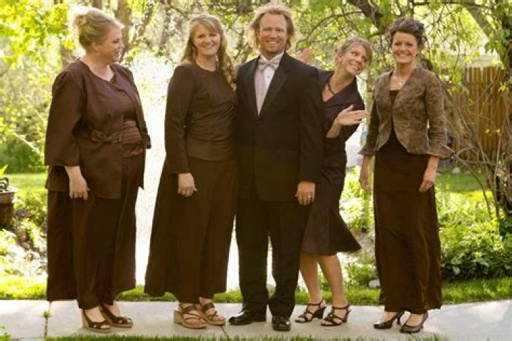 Kody Brown and wives