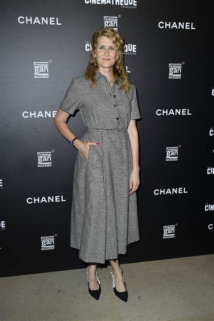 Laura Dern At The Premiere Of &lsquo;The Son&rsquo;