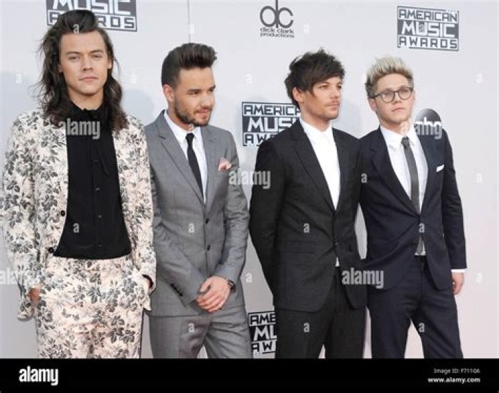 Liam Payne, Louis Tomlinson, Niall Horan, Harry Styles