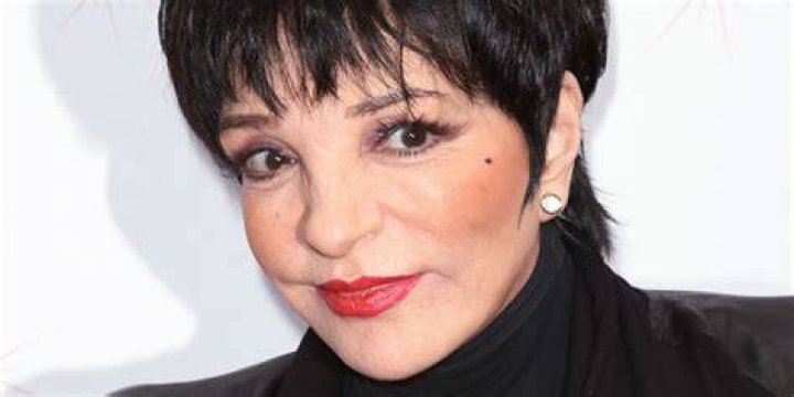 Liza Minnelli In 2019