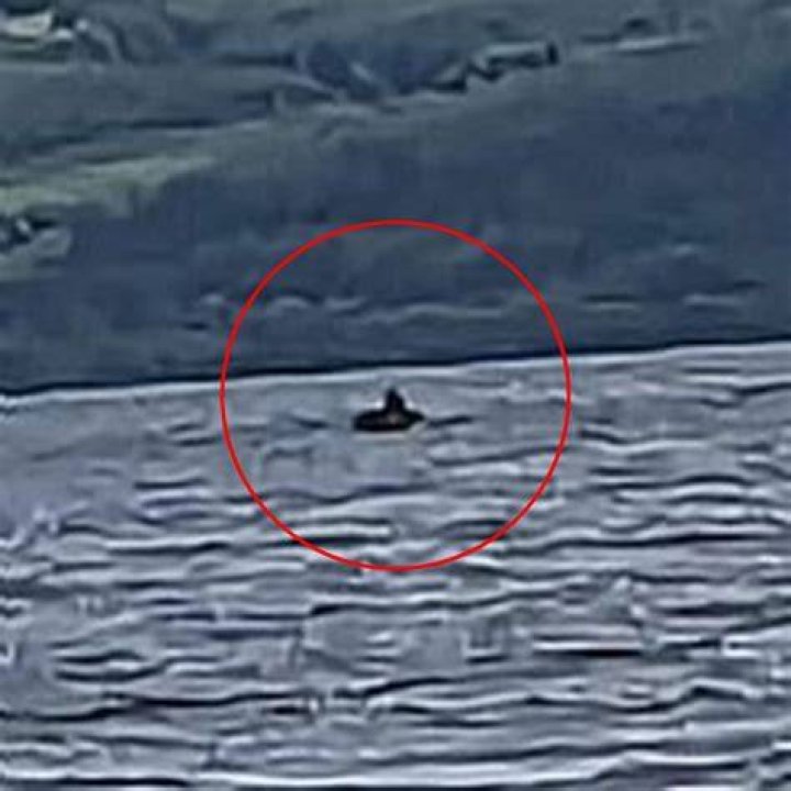 Loch Ness Monster New Photo
