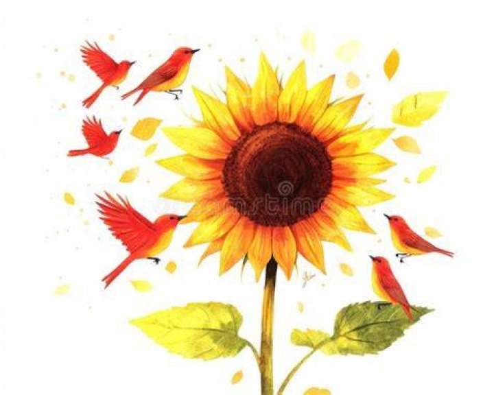 &lsquo;Pushing Daisies&rsquo;