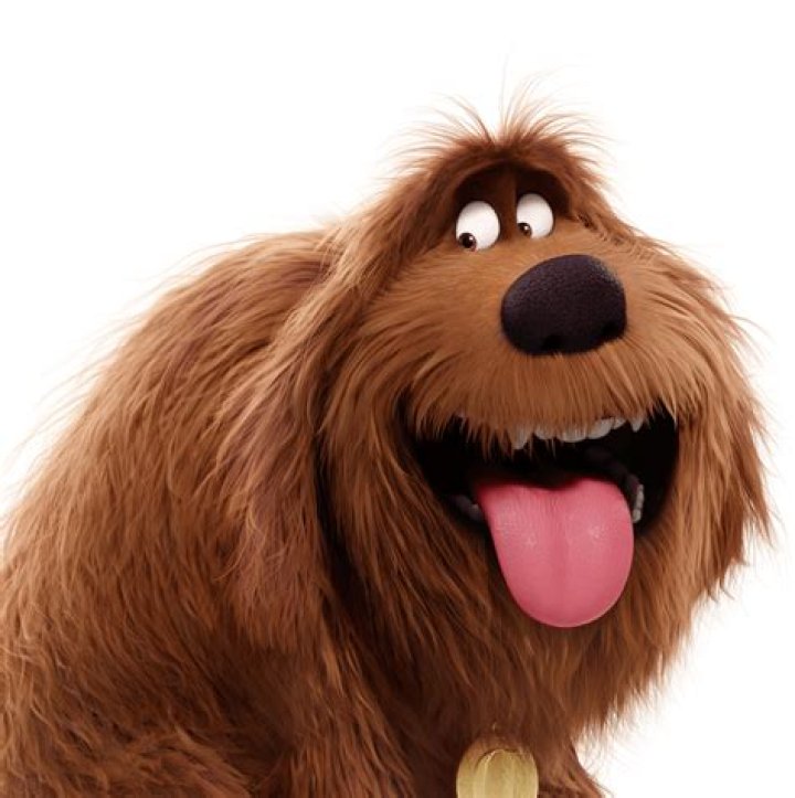&lsquo;The Secret Life of Pets 2&rsquo; Film Premiere