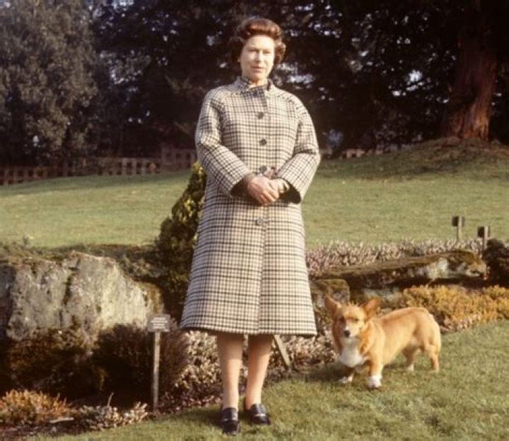Mandatory Credit: Reginald Davis Mandatory Credit: Photo by Reginald Davis/REX/Shutterstock (918888ck) In the Mantle and Robes of the Order of St. Michael and St.George, Queen Elizabeth II leaves St. Paul's Cathedral after the service Queen Elizabeth II retrospective
