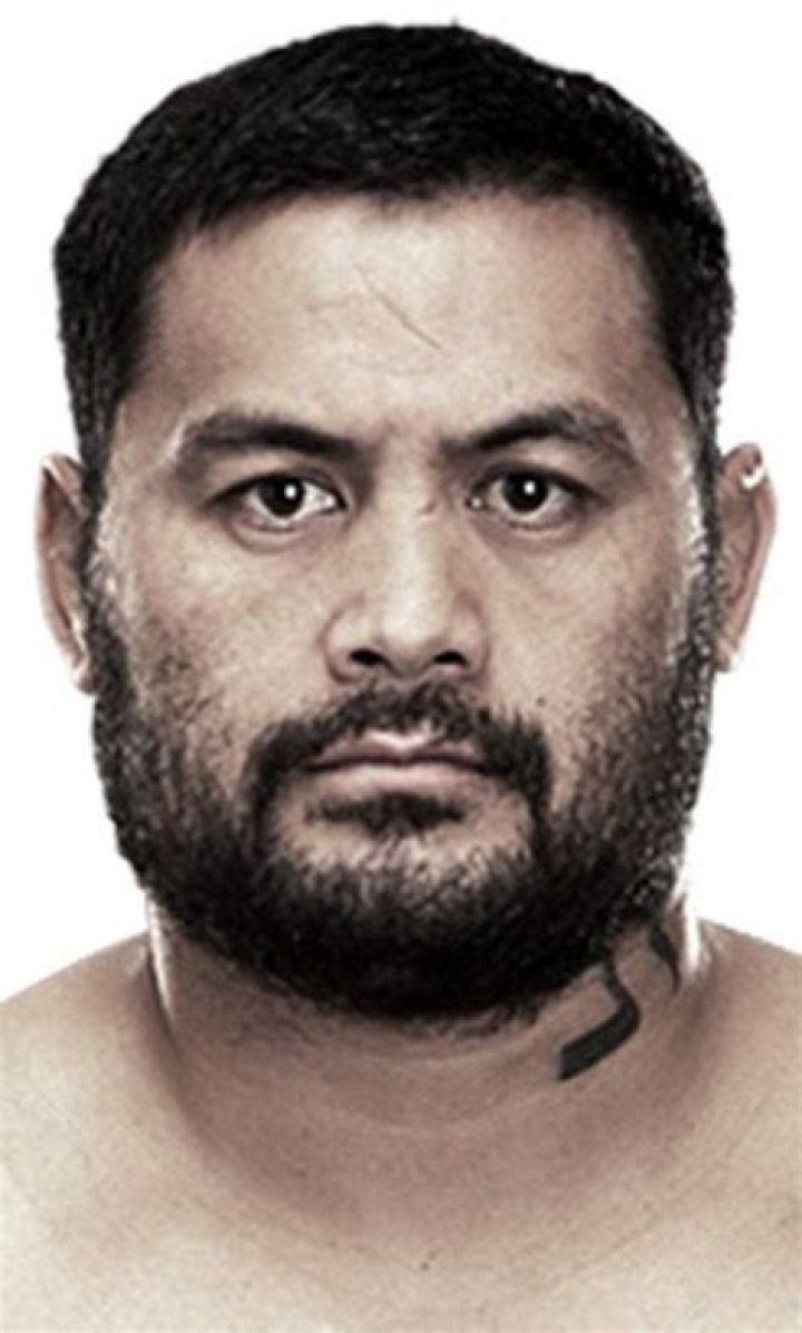 Mark Hunt Celeb Profile – Hollywood Life