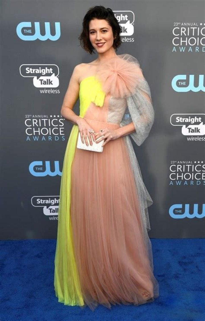 Mary Elizabeth Winstead Critics' Choice Awards, Arrivals, Los Angeles, USA - 11 Jan 2018