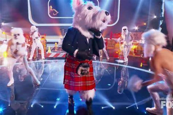 McTerrier