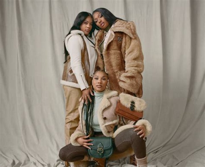 Megan Thee Stallion, Pardi Fontaine