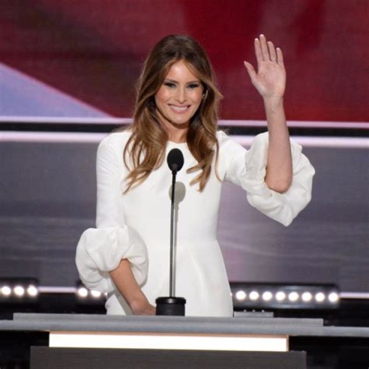 Melania Trump Dress RNC