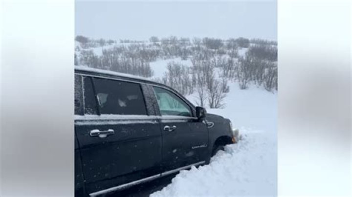 meredith marks car crash