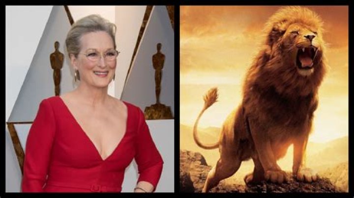 Meryl Streep At The 90th Academy Awards