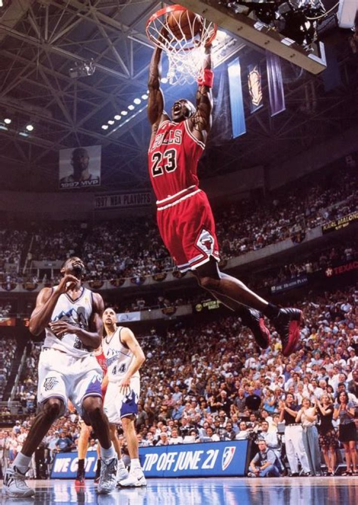 Michael Jordan Flies