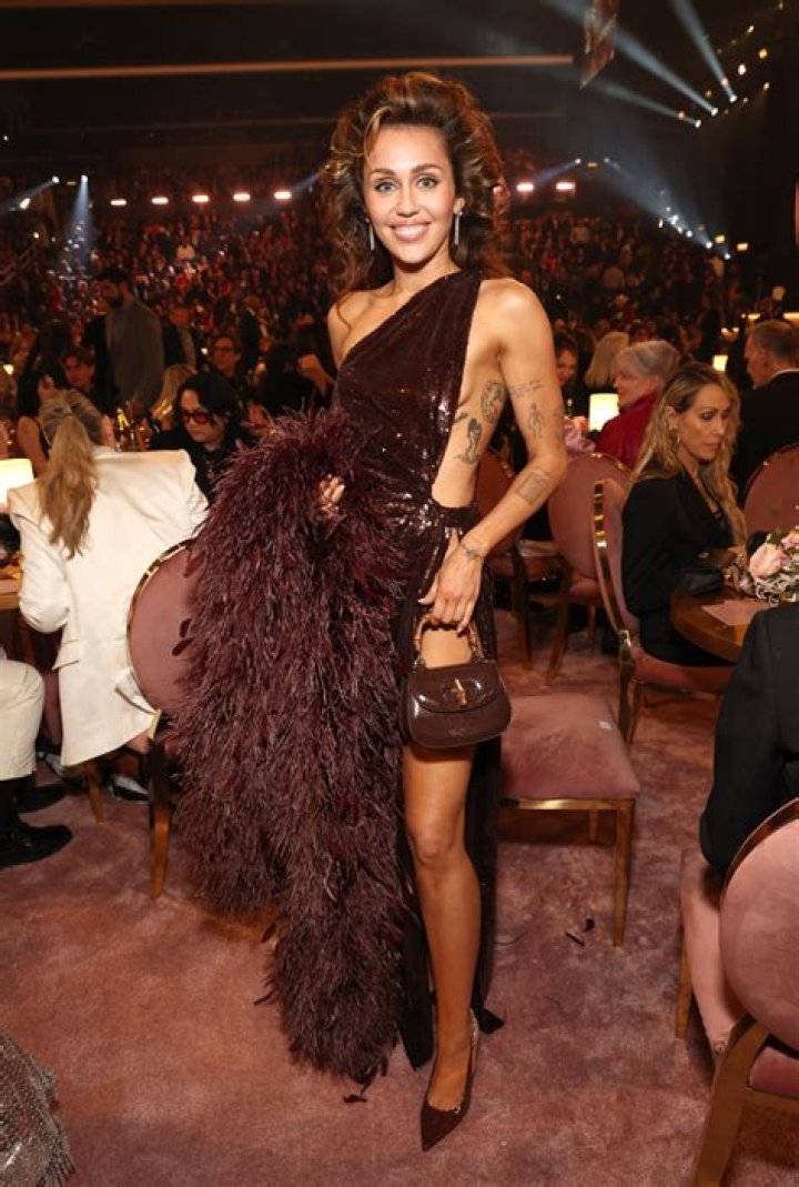 Miley Cyrus dress