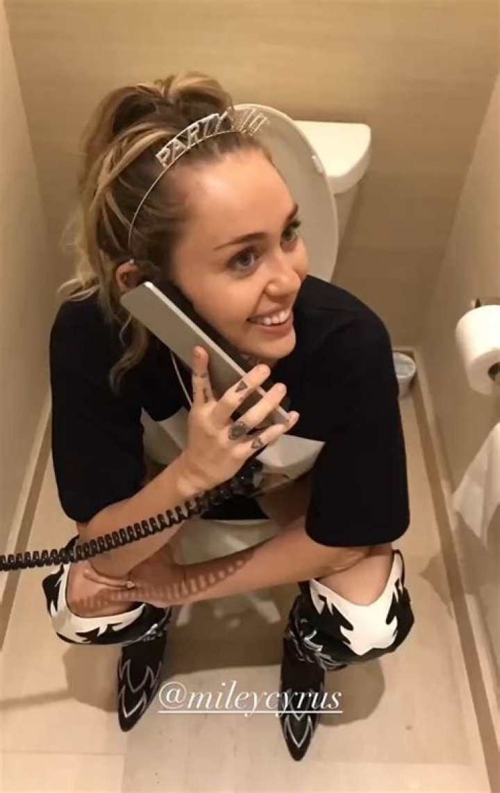 Miley Cyrus Toilet Selfie