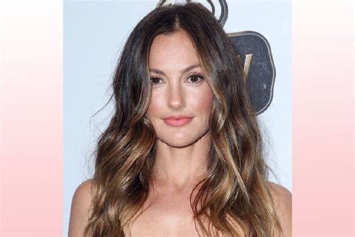 Minka Kelly Celebrity Profile – Hollywood Life