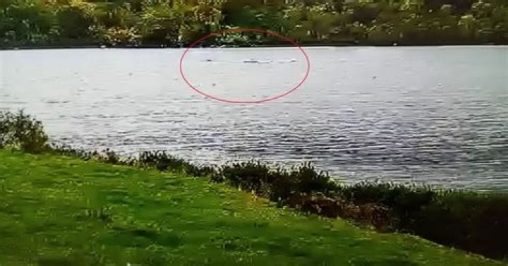 New Photo Shows Nessie Playing In The Water? – Hollywood Life
