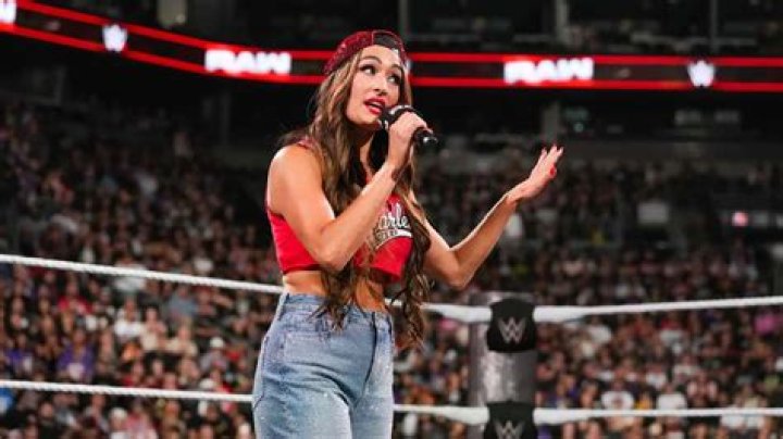 Nikki & Brie Bella In 2021