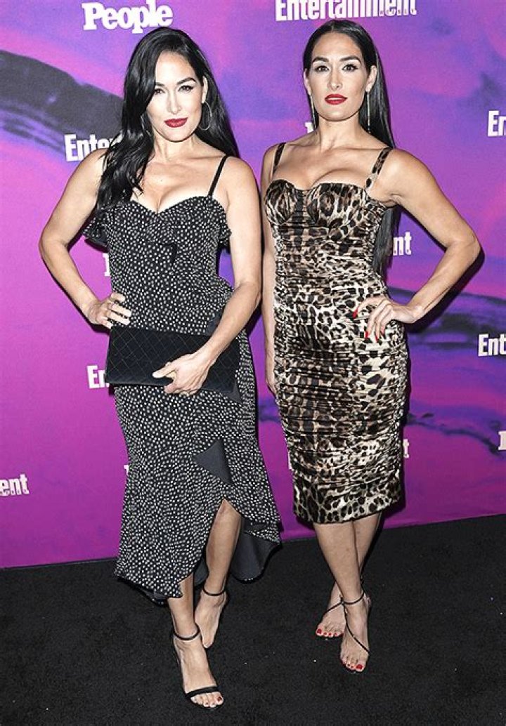 Nikki & Brie Bella’s Hottest Photos On The Red Carpet – Hollywood Life