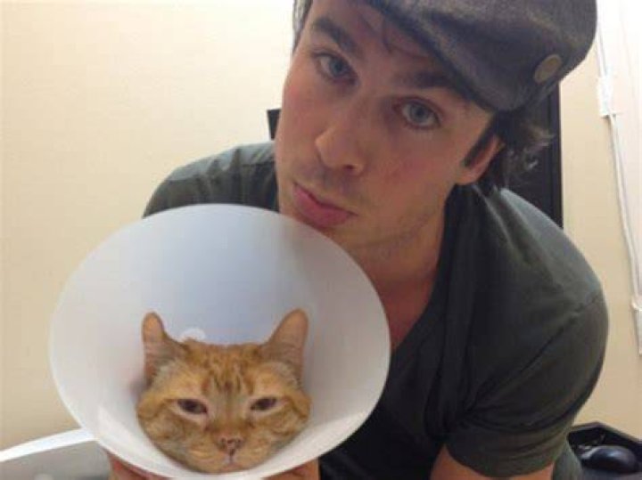Nina Dobrev Ian Somerhalder Cat