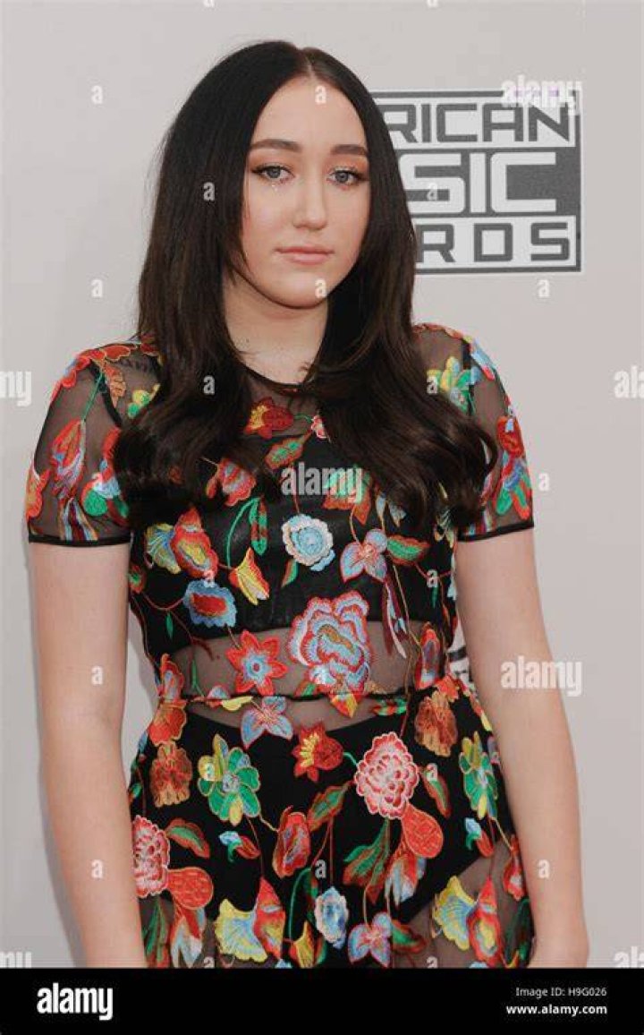 Noah Cyrus American Music Awards, Arrivals, Los Angeles, USA - 20 Nov 2016 WEARING CYNTHIA ROWLEY