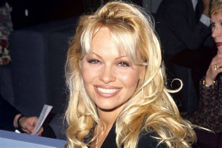 pamela anderson brnadon lee