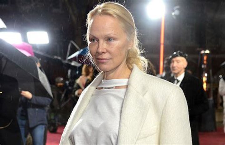 Pamela Anderson Goes Makeup-Free in Red Carpet Photos – Hollywood Life