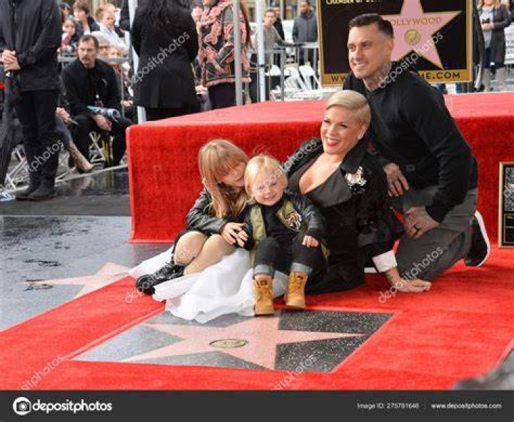 Pink, Carey Hart, Willow Sage Hart and Jameson Moon Hart 53rd Annual CMA Awards, Arrivals, Bridgestone Arena, Nashville, USA - 13 Nov 2019