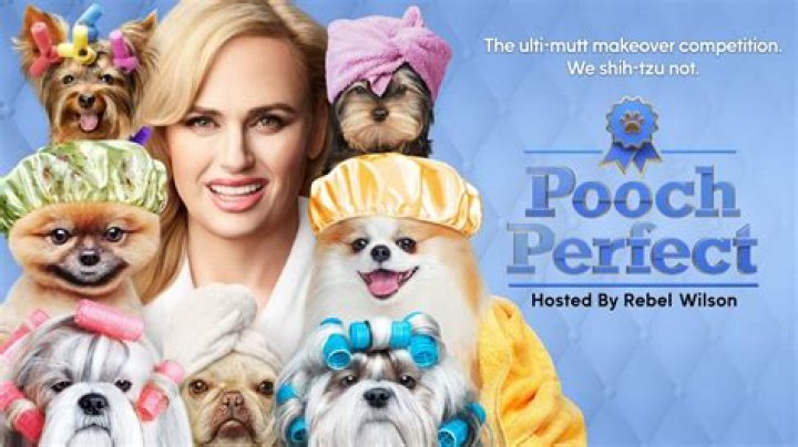POOCH PERFECT - ABC's &ldquo;Pooch Perfect&rdquo; stars Rebel Wilson. (ABC/Robert Trachtenberg)