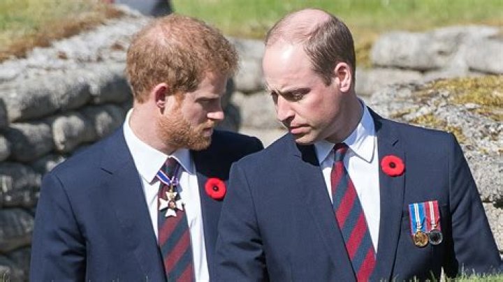 Prince Harry Vows To Continue Prince Philip’s Conservation Work In Passionate Earth Day Message
