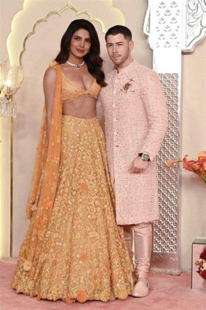 Priyanka Chopra Wears Pink Saree In New Pic For Joe & Sophie’s Wedding – Hollywood Life