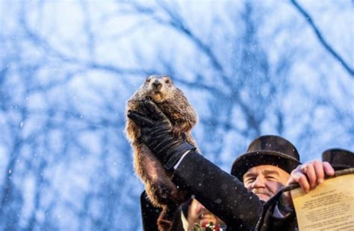 Punxsutawney Phil — Pictures Of 2018 Groundhog Day