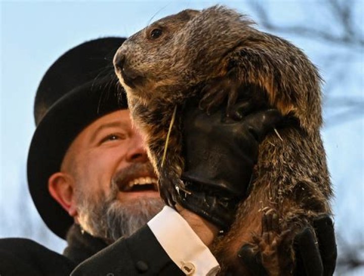 Punxsutawney Phil