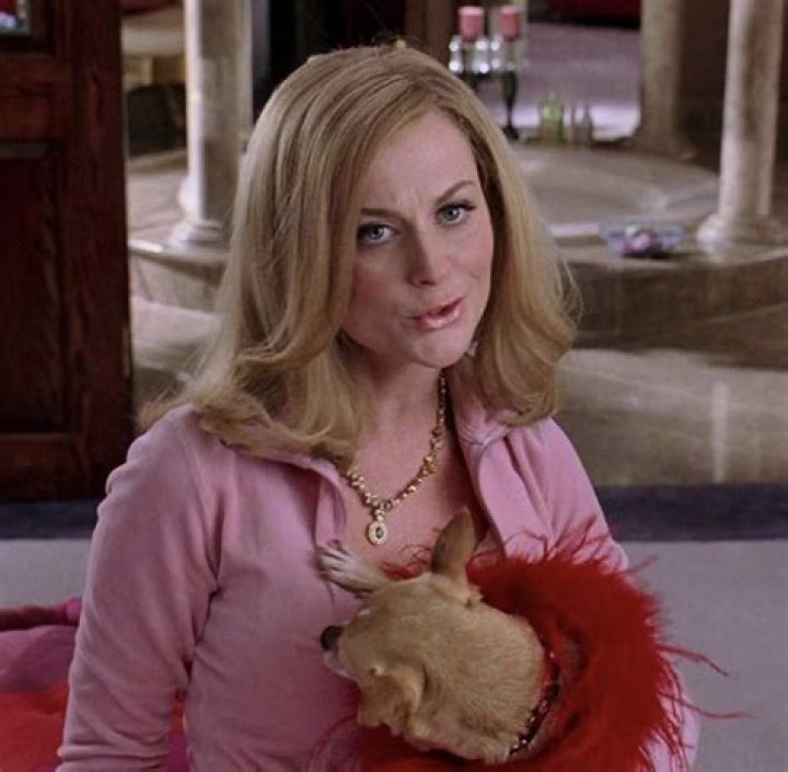 Regina George&rsquo;s Mom & Amy Poehler