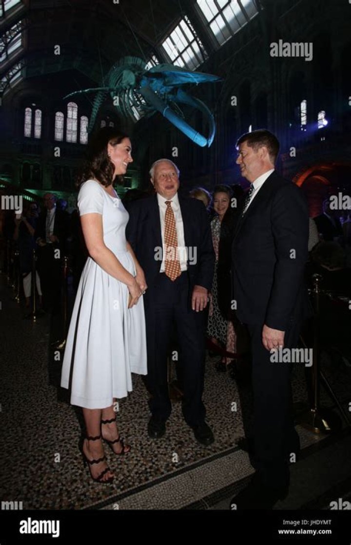 Reopening of Hintze Hall at the Natural History Museum, London, UK &ndash; 13 Jul 2017