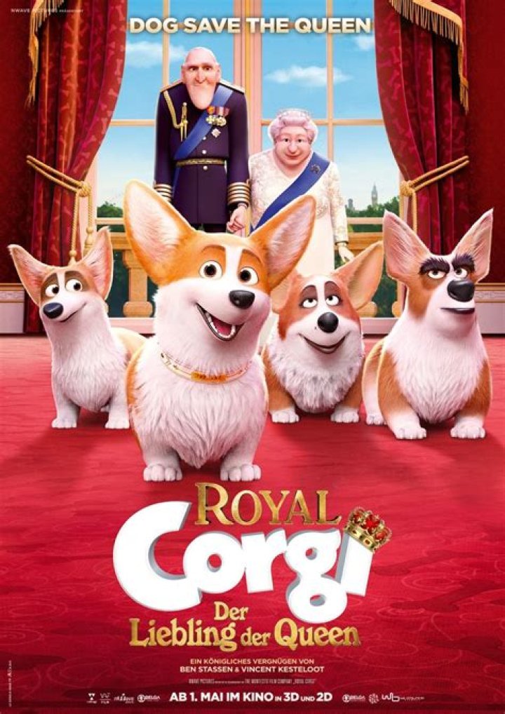 royal corgi