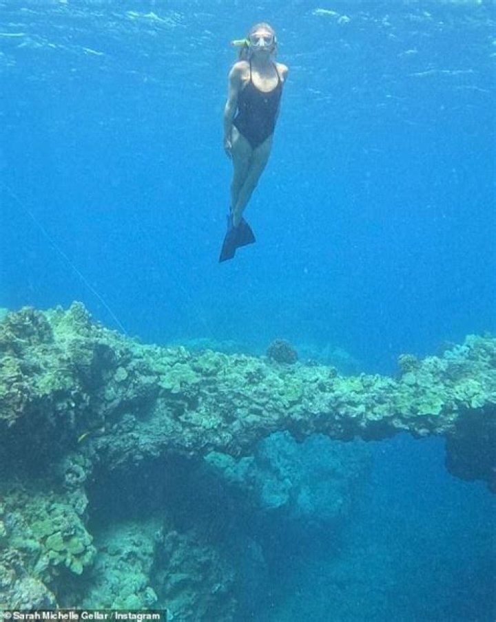 Sarah Michelle Gellar, 44, Slays In Black One-Piece Swimsuit — Photo