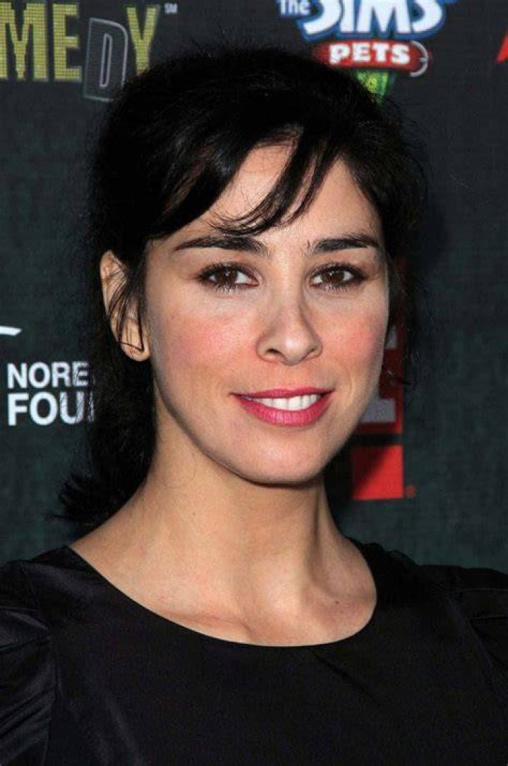 Sarah Silverman Is The Cat&rsquo;s Meow In A Leopard Dress