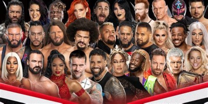 See Pic Of WWE Stars’ Proposal – Hollywood Life