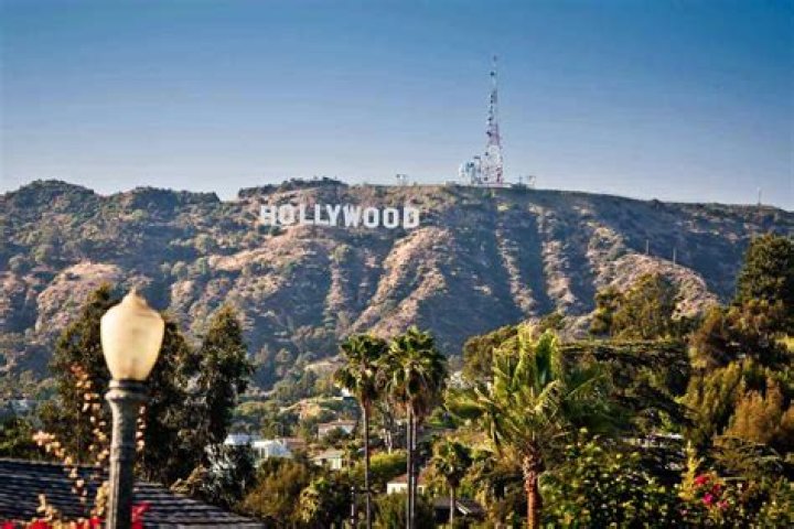 See Pics and More – Hollywood Life