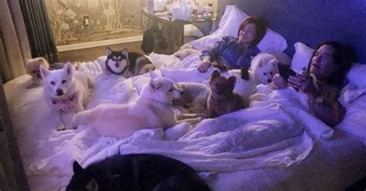 Sharon & Ozzy Osbourne Cuddle While Celebrating Black Sabbath